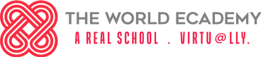 The World Ecademy Logo